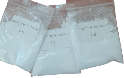 Scaling Fish Farms Kenya – Hatchery & Sex-Reversal Nurseries | Maimun Fishing & Tackles Ltd