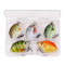 5pcs Mini Fish Bass Fishing Lure