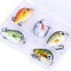 5pcs Mini Fish Bass Fishing Lure
