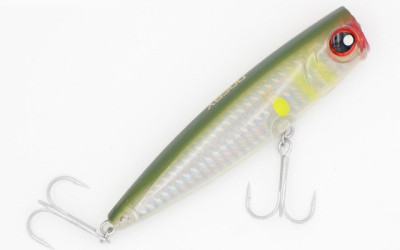 Hard Baits vs Soft Baits: Which Works in Kenya?