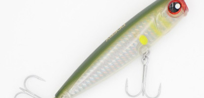 Hard Baits vs Soft Baits: Which Works in Kenya?