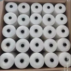 POLYESTER FISHING TWINE  X 500 GRAMS X 1  BOX X 50PCS