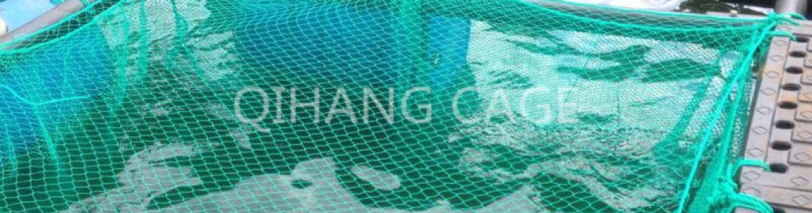 Modern Aquaculture Systems Kenya – Ponds, Cages & RAS | Maimun Fishing & Tackles Ltd