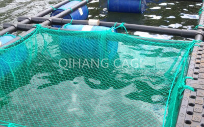 Modern Aquaculture Systems Kenya – Ponds, Cages & RAS | Maimun Fishing & Tackles Ltd