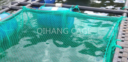 Modern Aquaculture Systems Kenya – Ponds, Cages & RAS | Maimun Fishing & Tackles Ltd