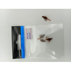 PRINCE NYMPH