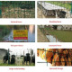 PVC COATED WIRE MESH 30M X 1.2M