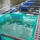 FISH CAGE READY 2.5M X 2.5M X 2M FISH CAGE READY 2.5M X 2.5M X 2M
