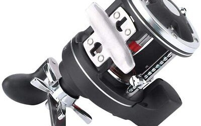 Exploring Different Types of Fishing and Why Your Reel Choice Matters