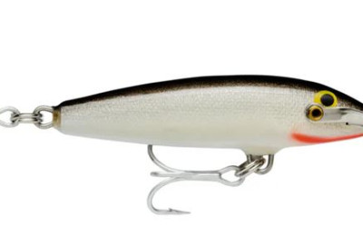 Attracting Fish Through Movement and Vibration