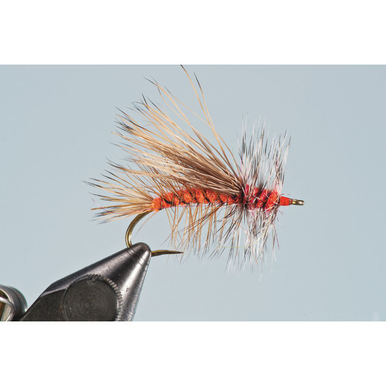STIMULATOR, orange STIMULATOR, orange