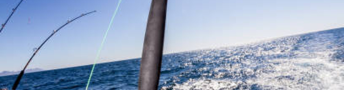 Choosing the Right Fishing Line – From Mistake to Mastery | Maimun Fishing & Tackles Ltd