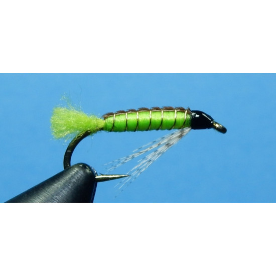 TRUEBLOOD'S CADDIS