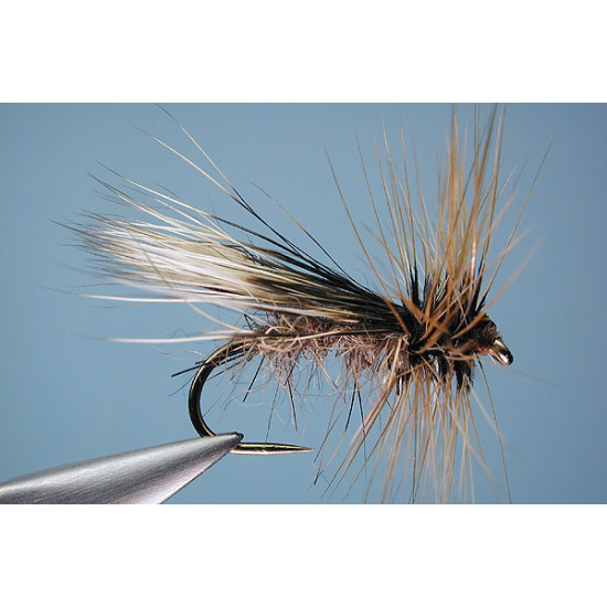WOODCHUCK CADDIS WOODCHUCK CADDIS