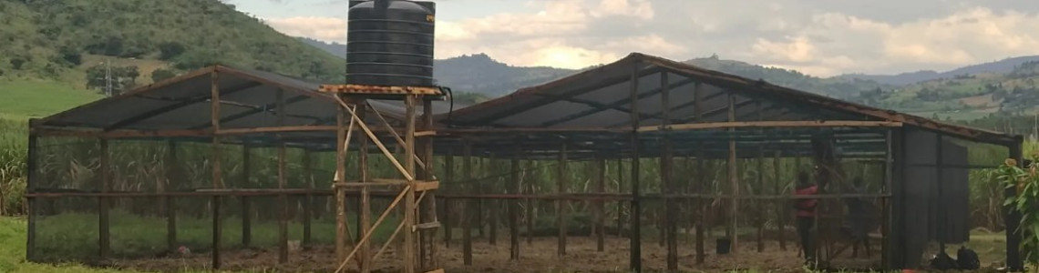 How to Build a Shade Net House for Farming: A Step-by-Step Guide