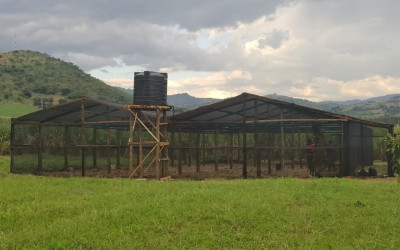 How to Build a Shade Net House for Farming: A Step-by-Step Guide