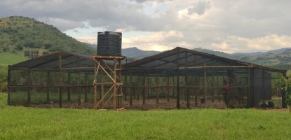 How to Build a Shade Net House for Farming: A Step-by-Step Guide