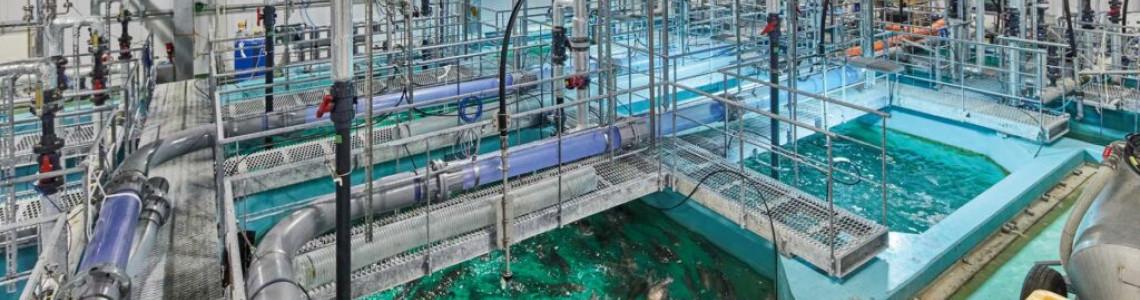 Best Aquaculture Supplies and Fish Farming Products in Kenya