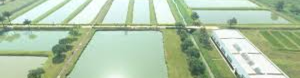 Africa's biggest aquaculture meeting