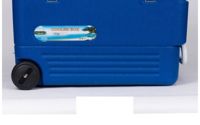 Why Every Fisherman in Kenya Needs a Heavy-Duty Cooler Box