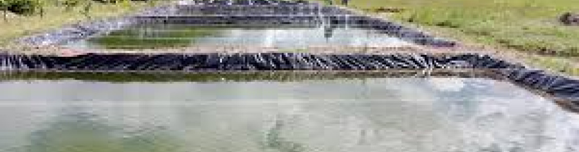 Aquaculture Feed & Accessories in Kenya | Boost Fish Farm Productivity | Maimun Fishing & Tackles Ltd