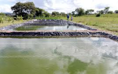 Aquaculture Feed & Accessories in Kenya | Boost Fish Farm Productivity | Maimun Fishing & Tackles Ltd
