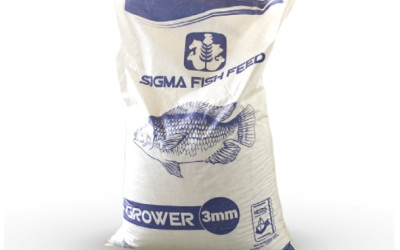 Fish Feed Guide: What to Feed Fish in Aquaculture Farms