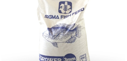 Fish Feed Guide: What to Feed Fish in Aquaculture Farms