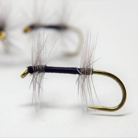 FORE AND AFT