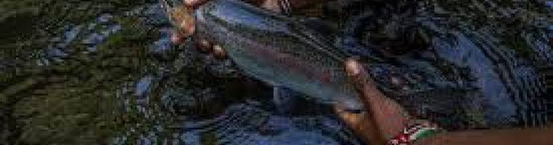 Fly Fishing in Kenya: Choosing the Right Fly Line, Leaders & Flies