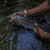 Fly Fishing in Kenya: Choosing the Right Fly Line, Leaders & Flies