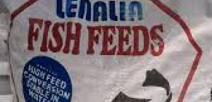 High-Quality Fish Feed Kenya – Tilapia & Catfish Growth Guide | Maimun Fishing & Tackles Ltd