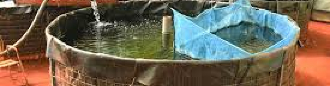 “Guide to Aquaculture Equipment in Kenya: Build a Successful Fish Farm”