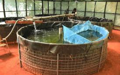 “Guide to Aquaculture Equipment in Kenya: Build a Successful Fish Farm”