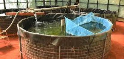 “Guide to Aquaculture Equipment in Kenya: Build a Successful Fish Farm”