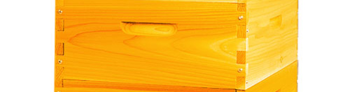 Choosing the Right Beehive: Langstroth Hive Advantages for Kenyan Beekeepers