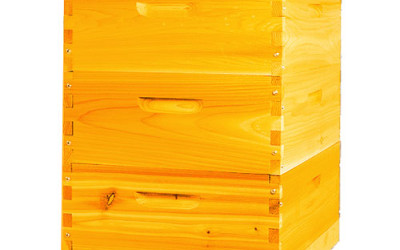 Choosing the Right Beehive: Langstroth Hive Advantages for Kenyan Beekeepers