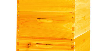 Choosing the Right Beehive: Langstroth Hive Advantages for Kenyan Beekeepers