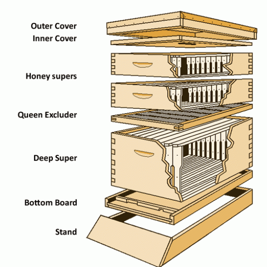 LANGSTROTH BEEHIVE