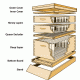 LANGSTROTH BEEHIVE