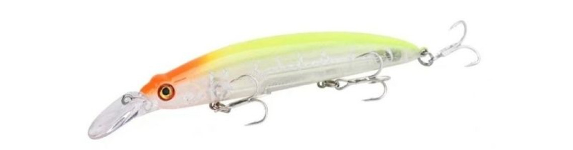 Fishing Lures for Lake Naivasha – Minnows vs Spinnerbaits vs Jigs | MFT Kenya