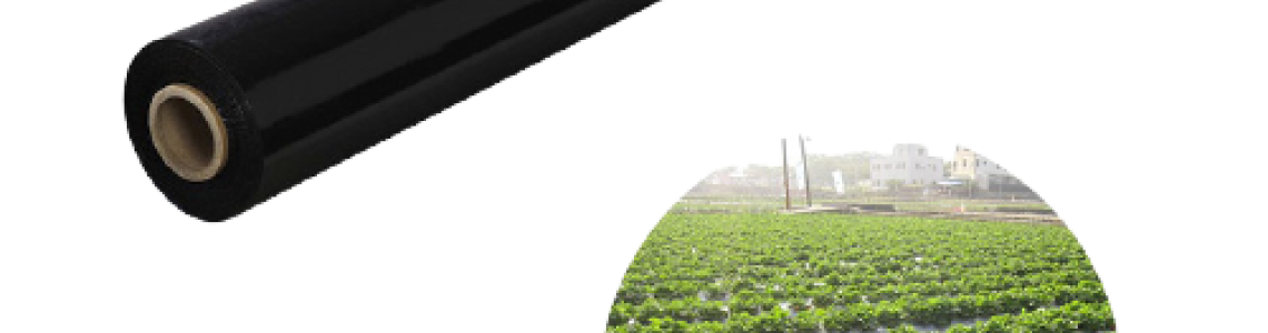 Benefits of Agricultural Mulch Film for Farmers in Kenya