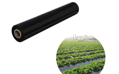 Benefits of Agricultural Mulch Film for Farmers in Kenya