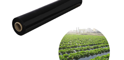Benefits of Agricultural Mulch Film for Farmers in Kenya