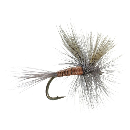 RED QUILL DRY